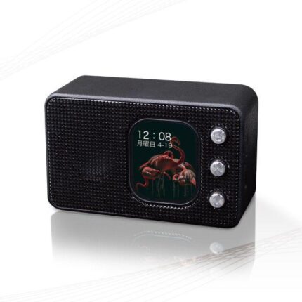 Bluetooth Speaker Spy Camera